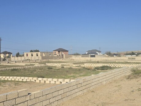 Nardaran q.