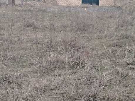 Satılır torpaq 12 sot, Nardaran q.