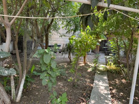 4 otaqlı həyət evi/bağ evi - Həzi Aslanov q. - 80 m²