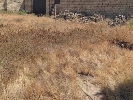 Satılır torpaq 15 sot, Saray q.