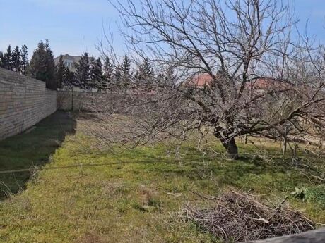 Satılır torpaq 8 sot, Novxanı q.
