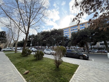 Продаётся объект, Bakıxanov, 70 м², 650 000 AZN, фото 4 / 6