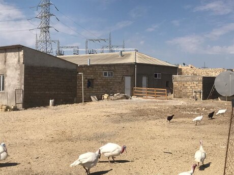 Satılır obyekt 20000 m², Qobu q.