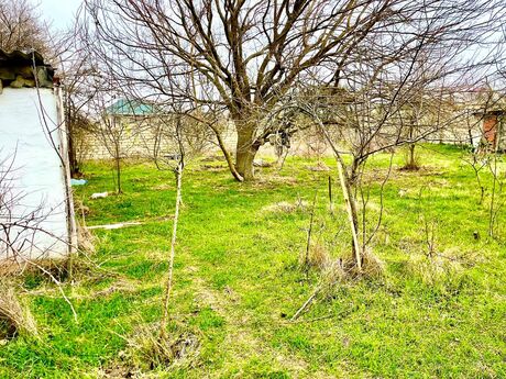 Объявление №5911050 - Баку, пос. Ази Асланова, 8 сот