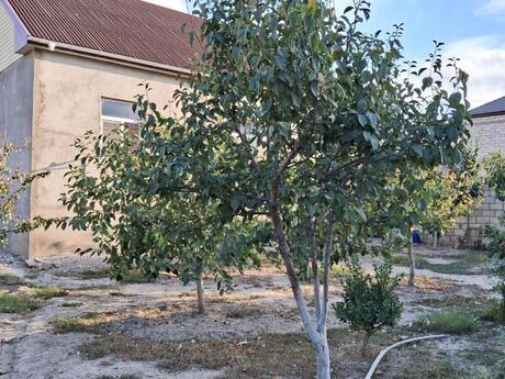 Satılır 4 otaqlı həyət evi/bağ evi 103 m², Xudat