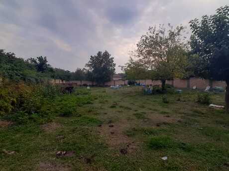 Satılır torpaq 12.5 sot, Qax