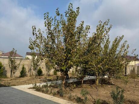 4 otaqlı həyət evi/bağ evi - Nardaran q. - 250 m²