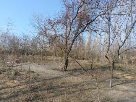 Satılır torpaq 20 sot, Bərdə
