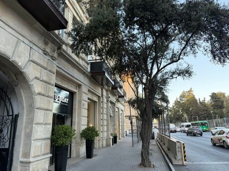 2 otaqlı mənzil, 53 m², Sahil: 183 000 ₼ 3