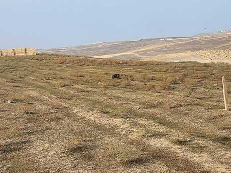 Satılır torpaq 54 sot, Mehdiabad q.