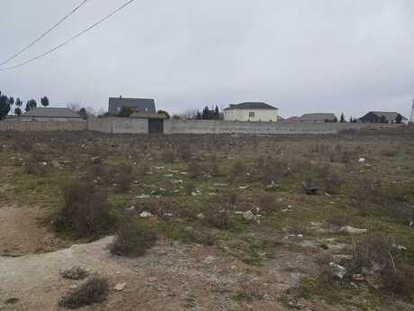 Elan №5915413 - Bakı, Buzovna q., 500 sot