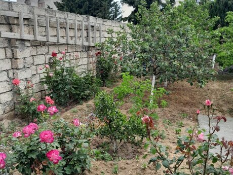 4 otaqlı həyət evi/bağ evi - Buzovna q. - 120 m²