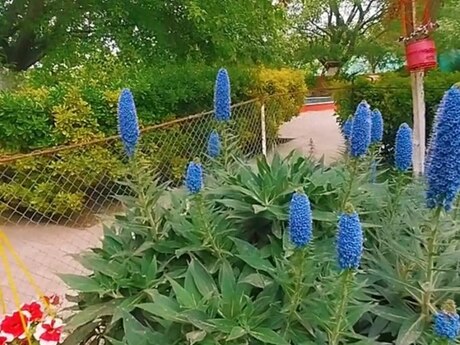 Объявление №5919244 - Баку, пос. Нардаран, 9-комн., 420 м²