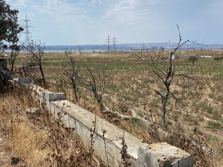 Satılır torpaq 250 sot, Məmmədli q.