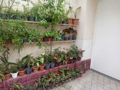 6 otaqlı həyət evi/bağ evi - İnşaatçılar m. - 420 m²