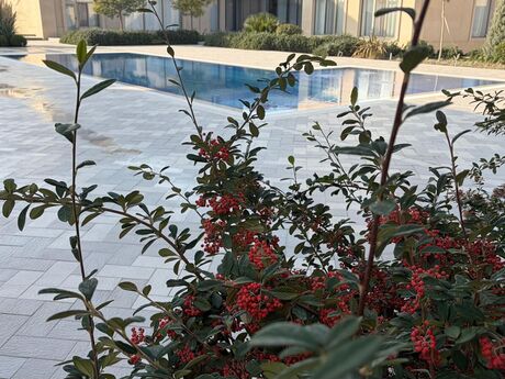 5 otaqlı həyət evi, 685 m², Mərdəkan: 2 200 000 ₼ 5