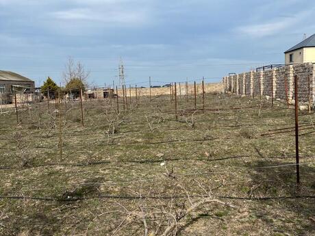 Объявление №5921405 - Баку, пос. Дюбенди, 5 сот