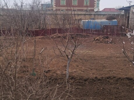 Torpaq - Mehdiabad q. - 3 sot