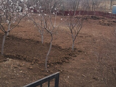 Torpaq - Mehdiabad q. - 3 sot