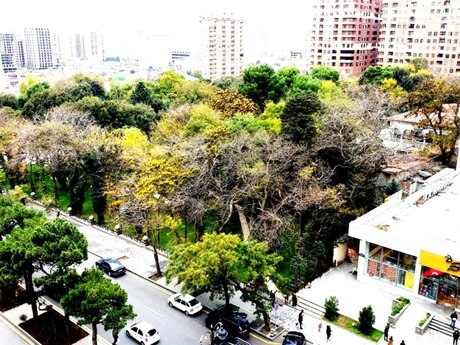 Объявление №5922370 - Баку, м. Сахил, 4-комн., 230 м², 7/19 этаж