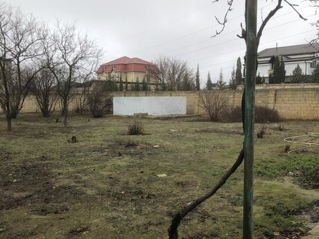 Объявление №5923068 - Баку, пос. Сарай, 10 сот