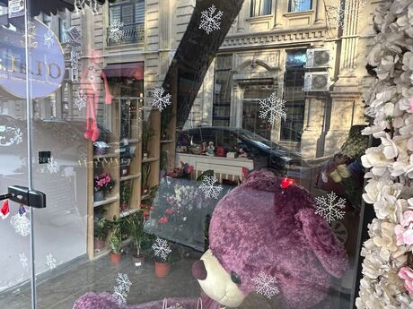 Elan №5923779 - Bakı, Nizami m., 15 m²