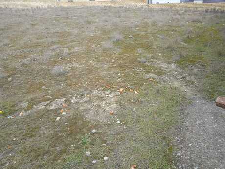 Elan №5924012 - Bakı, Badamdar q., 14 sot