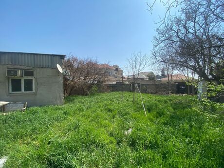 Torpaq - Badamdar q. - 3 sot