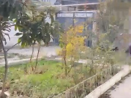 Torpaq - Azadlıq Prospekti m. - 5 sot