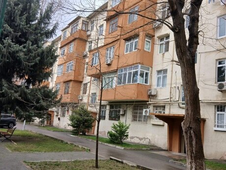 Satlr 3 otaql khn tikili 55 m, Nsimi m.