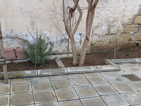 Satılır torpaq 3 sot, Badamdar q.