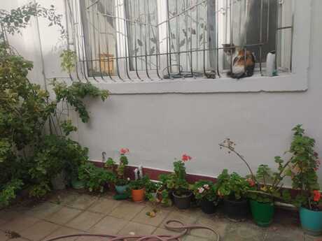 5 otaqlı həyət evi/bağ evi - Nəsimi m. - 150 m²