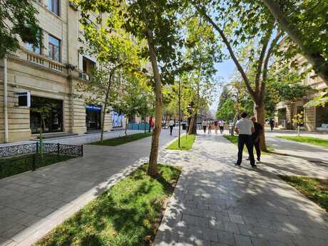 Elan №5927836 - Bakı, Sahil m., 2 otaqlı, 65 m², 3/5 mərtəbə