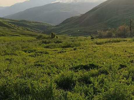 Satılır torpaq 14 sot, Şamaxı