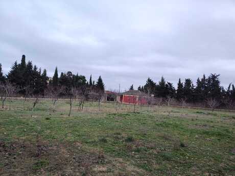 Torpaq - Nardaran q. - 33.1 sot