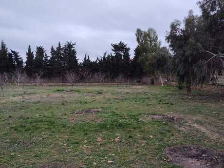 Torpaq - Nardaran q. - 33.1 sot