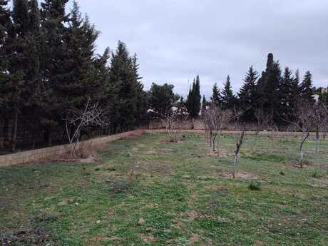 Torpaq - Nardaran q. - 33.1 sot
