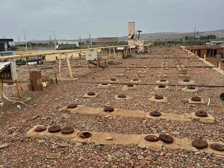 Объявление №5930007 - Сумгаит, Сумгаит, 100 сот