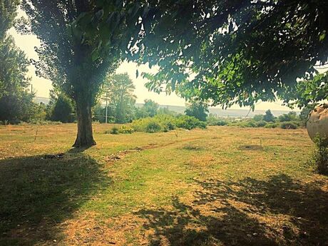 Объявление №5931925 - Исмаиллы, Исмаиллы, 550 сот