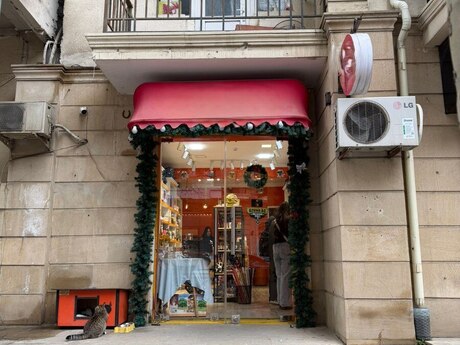 Obyekt - 28 May m. - 67 m²