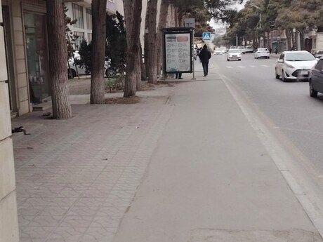 Obyekt - Qaraçuxur q. - 200 m²
