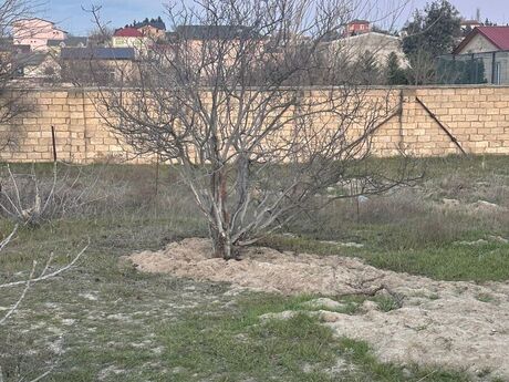 Satılır torpaq 2 sot, Novxanı q.