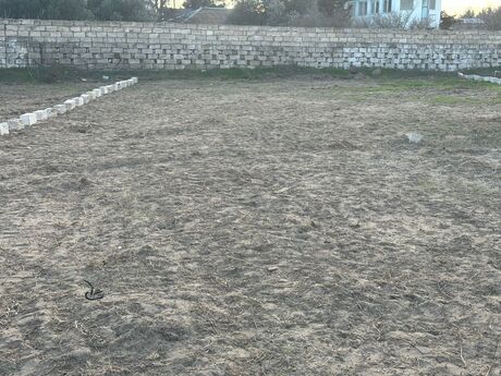 Elan №5933423 - Bakı, Bilgəh q., 2 sot