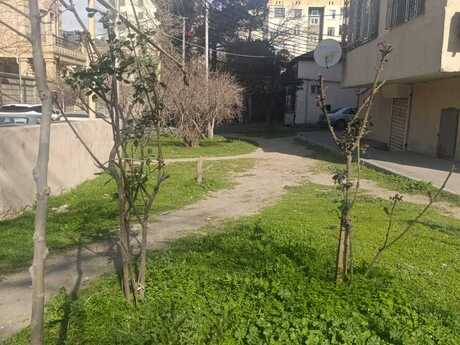Obyekt - Nərimanov r. - 75 m²