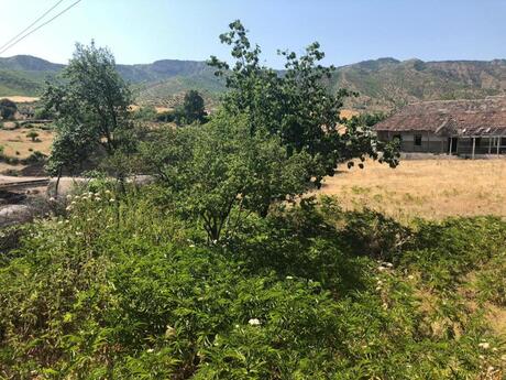Satılır torpaq 27 sot, İsmayıllı