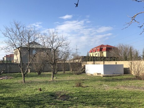 Объявление №5923068 - Баку, пос. Сарай, 10 сот