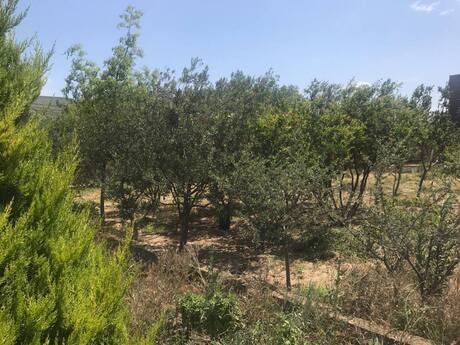 6 otaqlı həyət evi/bağ evi - Sea Breeze q. - 250 m²