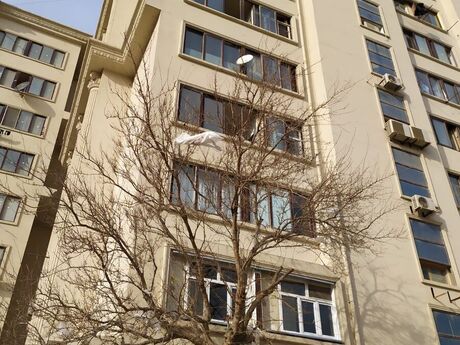 Satlr 3 otaql khn tikili 72 m, Sahil q.