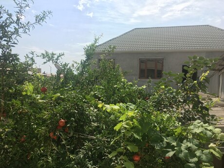 Satılır 14 otaqlı həyət evi/bağ evi 300 m², Yeni Suraxanı q.