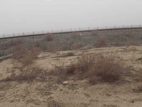 Elan №5940397 - Bakı, Sahil q., 200 sot